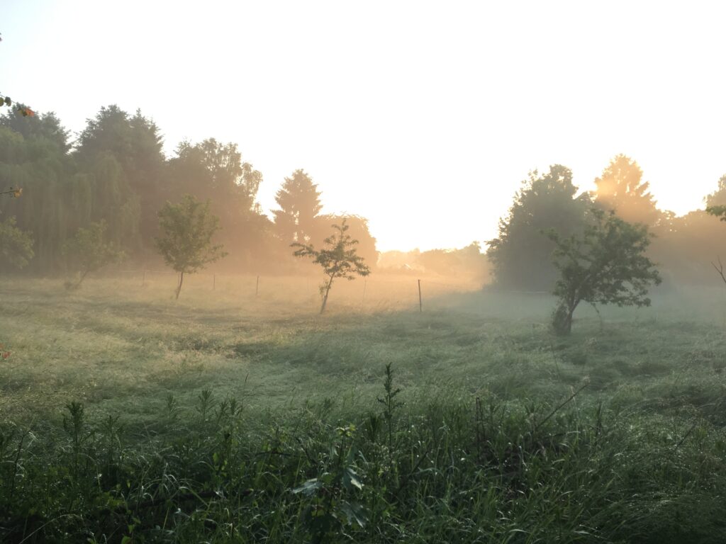 Der naturgemäße Wert der Dinge