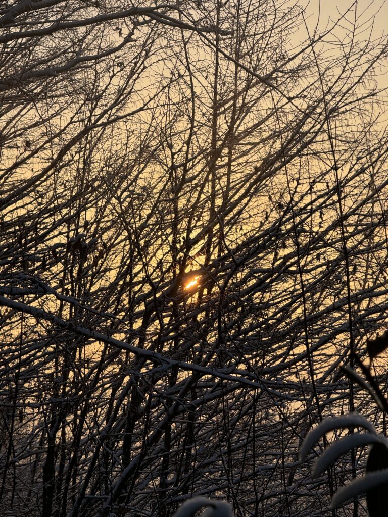 Verdeckte Sicht zur Sonne